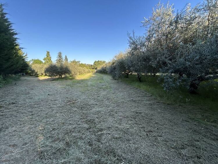 foto 2 del terreno