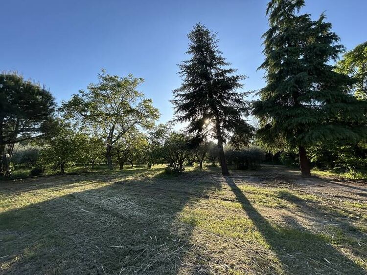 foto 5 del terreno