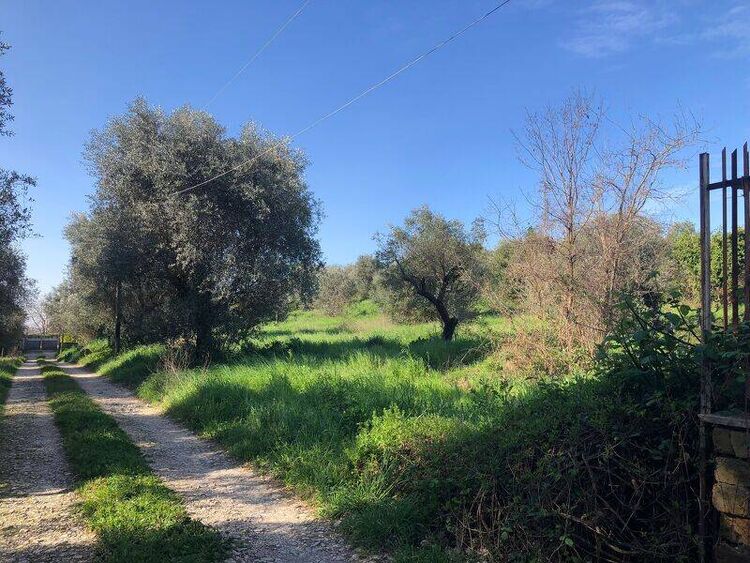 foto 4 del terreno