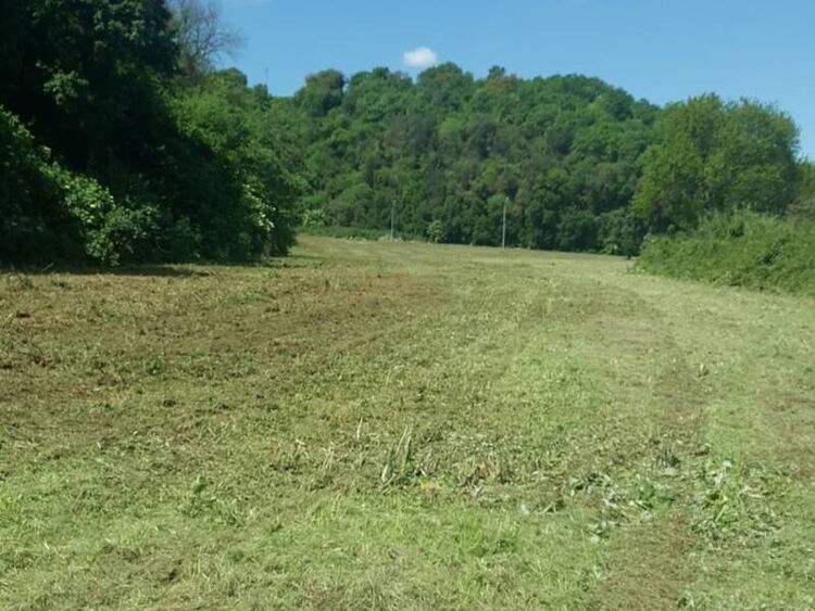 foto 3 del terreno