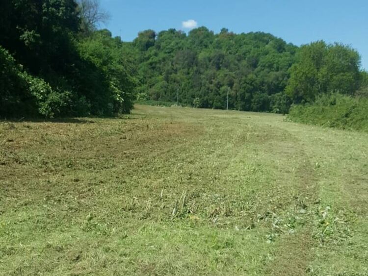 foto 4 del terreno