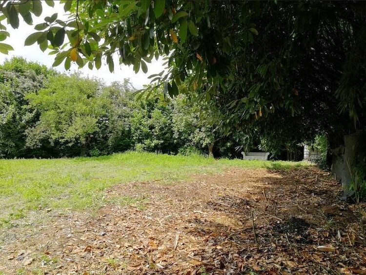 foto 4 del terreno