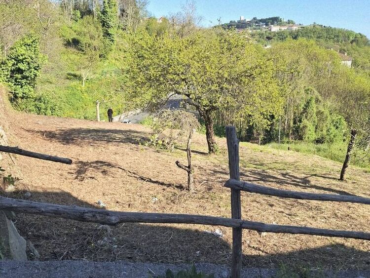 foto 2 del terreno