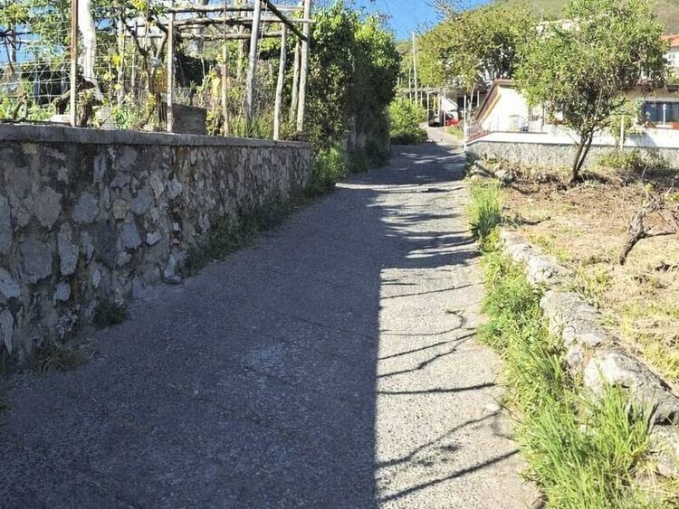 foto 3 del terreno