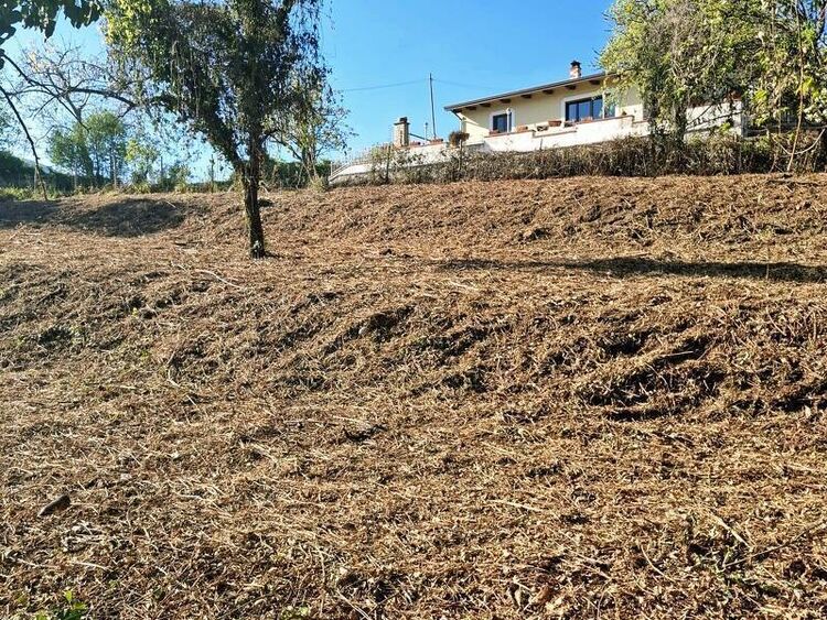 foto 4 del terreno