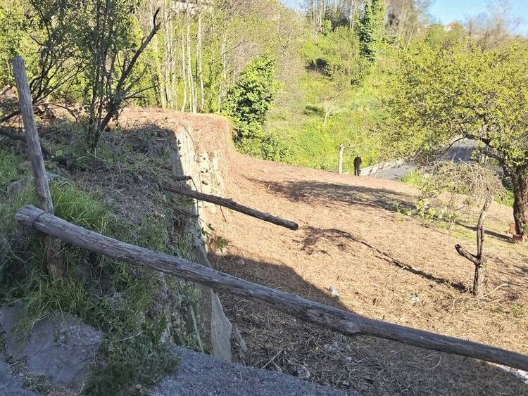 foto 5 del terreno