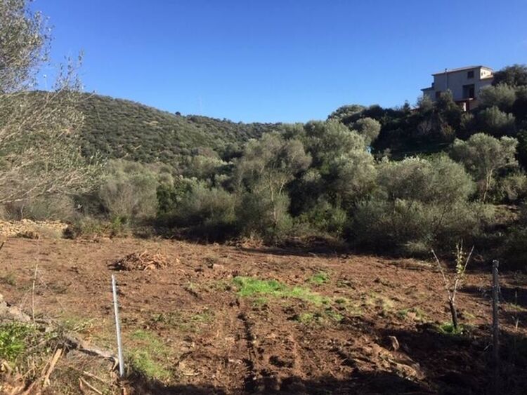 foto 2 del terreno