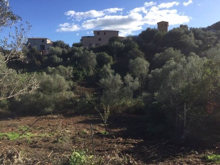 foto 4 del terreno