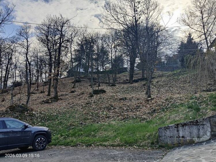 foto 4 del terreno