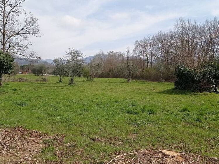 foto 2 del terreno