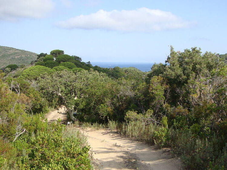foto 2 del terreno
