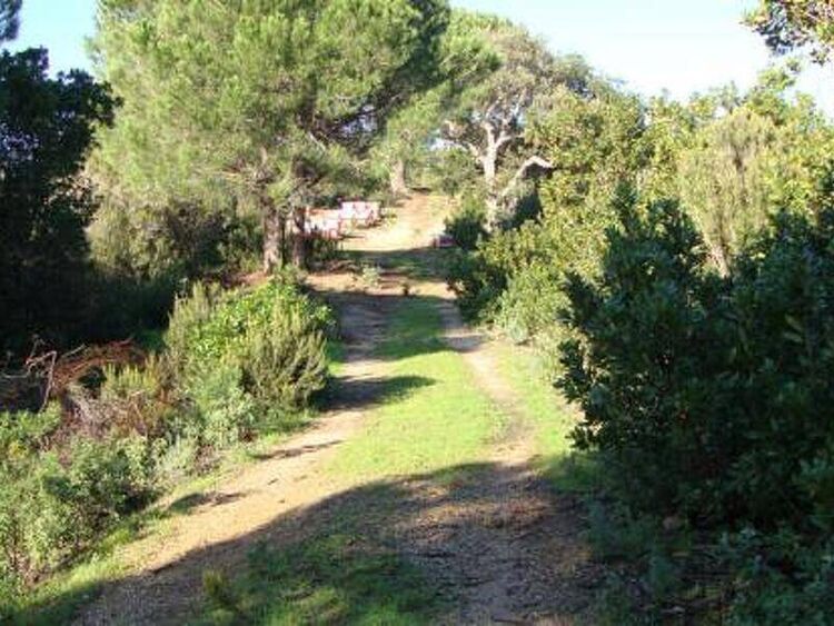 foto 3 del terreno