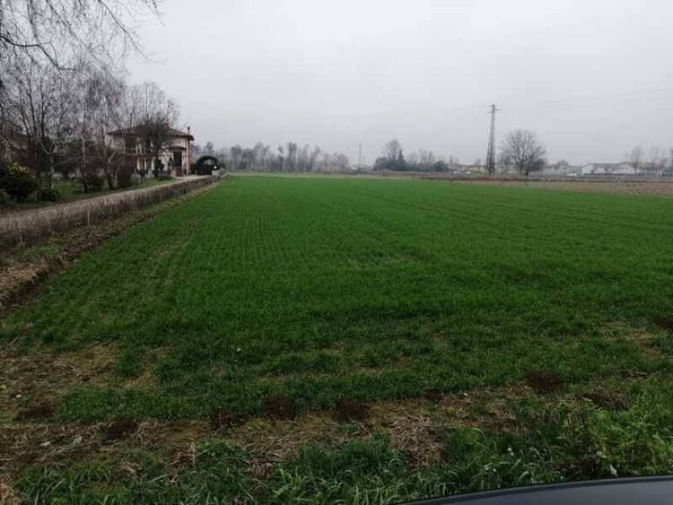 foto 2 del terreno