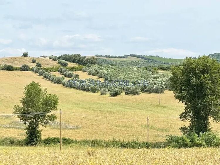 foto 2 del terreno