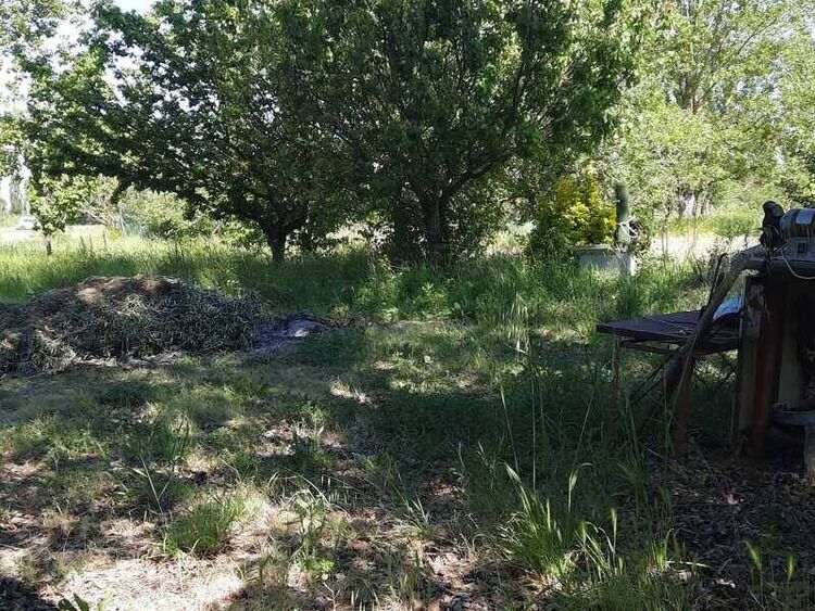 foto 2 del terreno