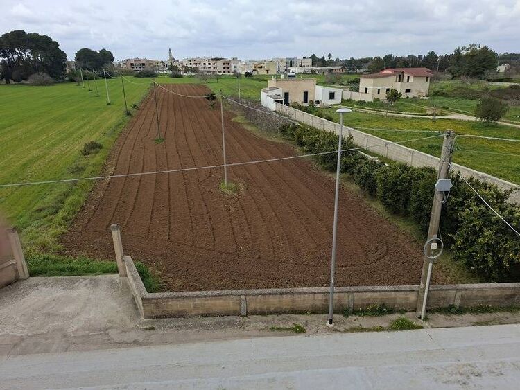 foto 2 del terreno