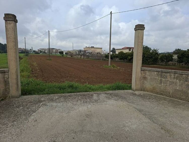 foto 3 del terreno