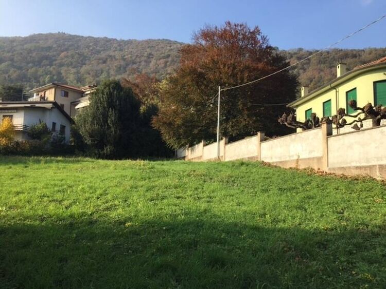 foto 4 del terreno