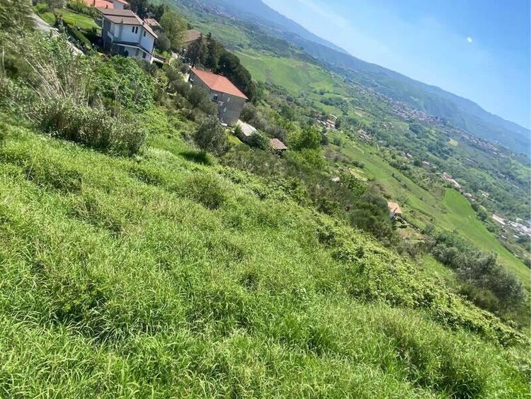 foto 2 del terreno