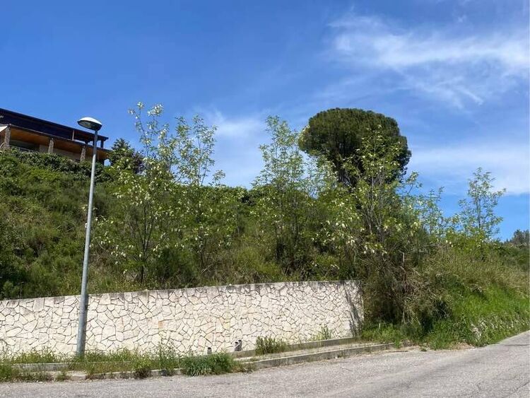 foto 4 del terreno