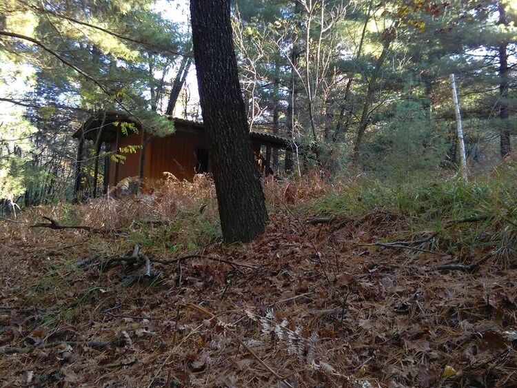 foto 3 del terreno