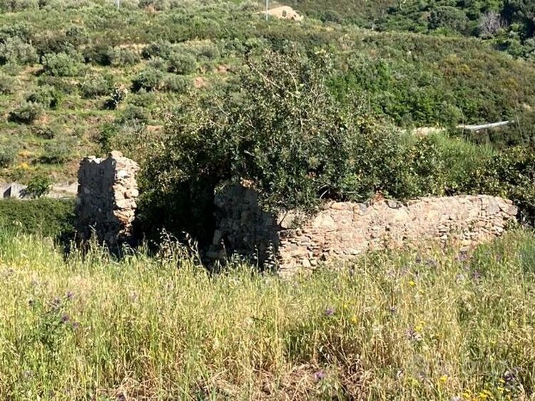 foto 3 del terreno