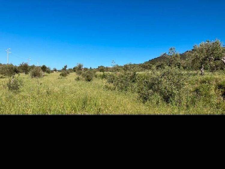 foto 4 del terreno