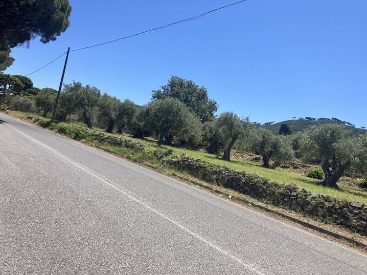 foto 2 del terreno