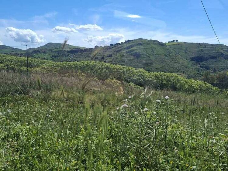 foto 2 del terreno
