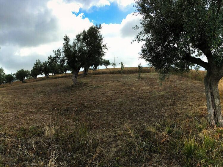 foto 2 del terreno