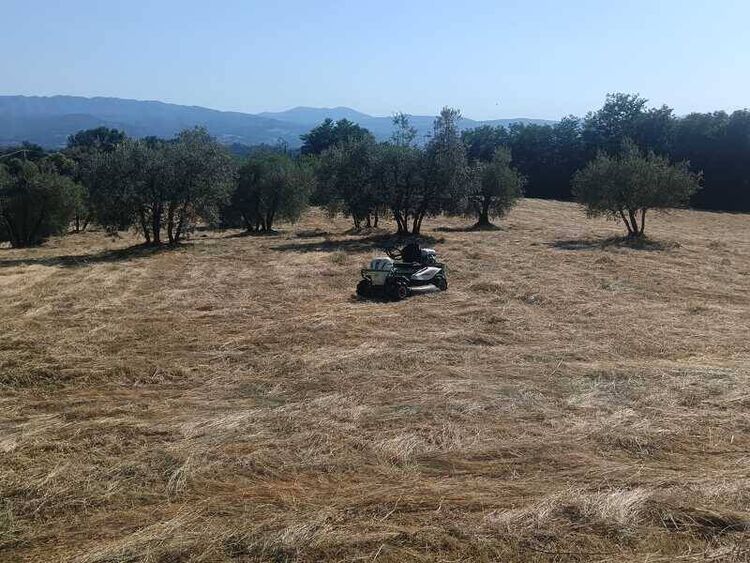 foto 4 del terreno