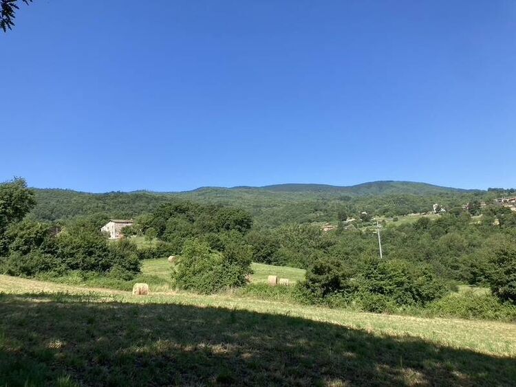 foto 2 del terreno