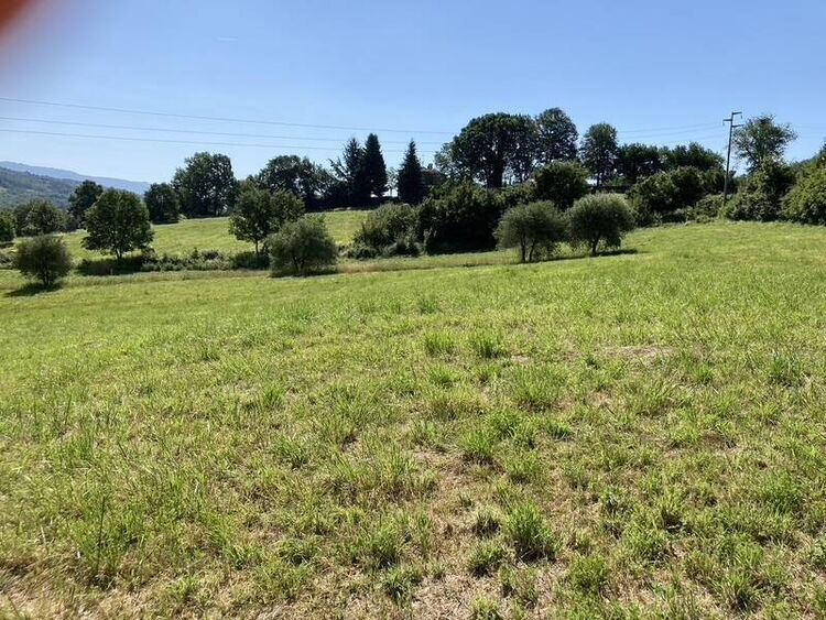 foto 4 del terreno